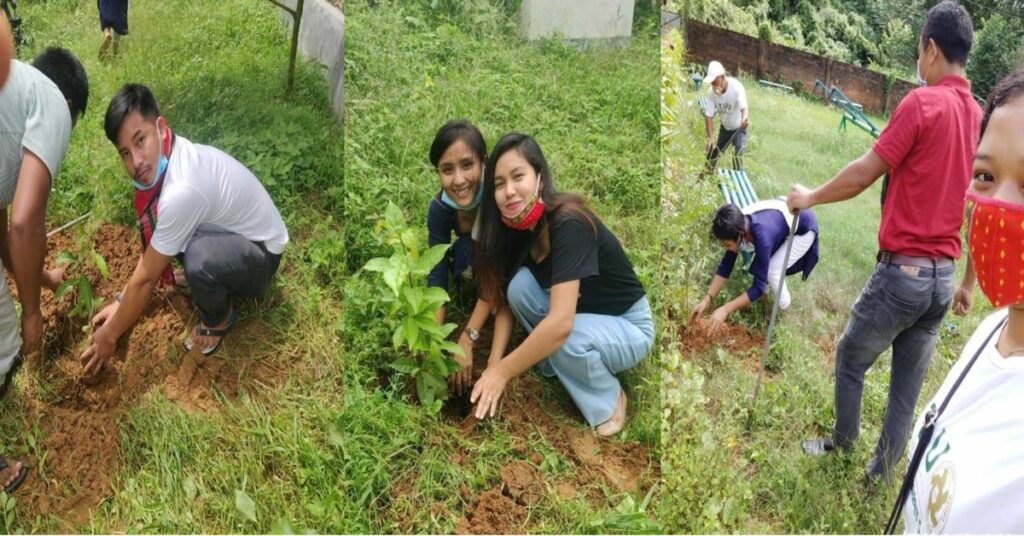 | lam phunuknai trust lpt